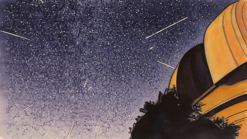 Pico da chuva de meteoros Perseidas encanta observadores nesta terça e quarta-feira
