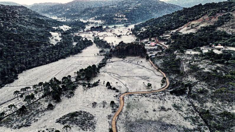 Geadas e temperaturas negativas atingem Sul e Sudeste nesta quarta-feira