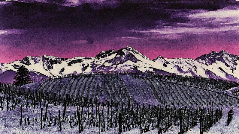 Descubra dez vinhos de Savoie por menos de 15 euros que você precisa experimentar