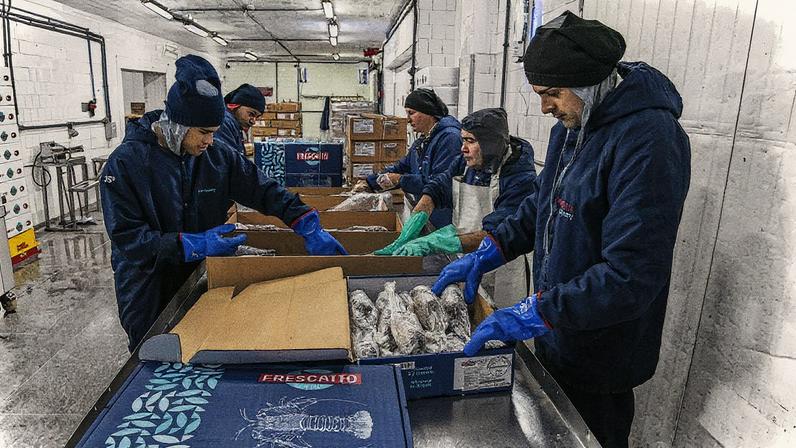 Exportações de pescado caem com tarifas dos EUA e afetam cadeia de 30 anos