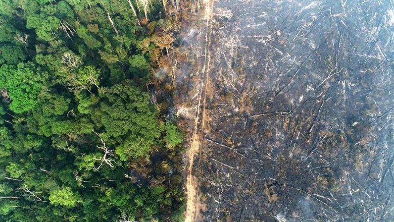 COP30 na Amazônia busca soluções urgentes para financiamento climático global