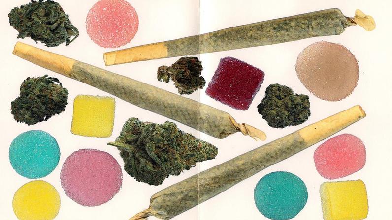 Aumenta o número de intoxicações por cannabis entre crianças no Brasil