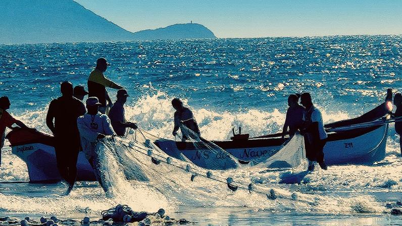 Investigações revelam fraudes na concessão do seguro-defeso na pesca