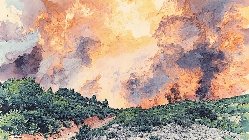 Incêndio devastador no sul da França atinge vinhedos e causa destruição