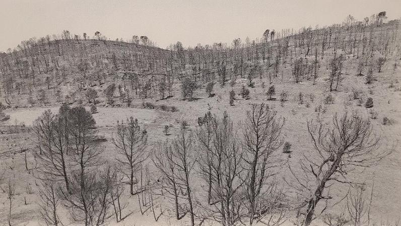 França enfrenta o maior incêndio florestal dos últimos 70 anos