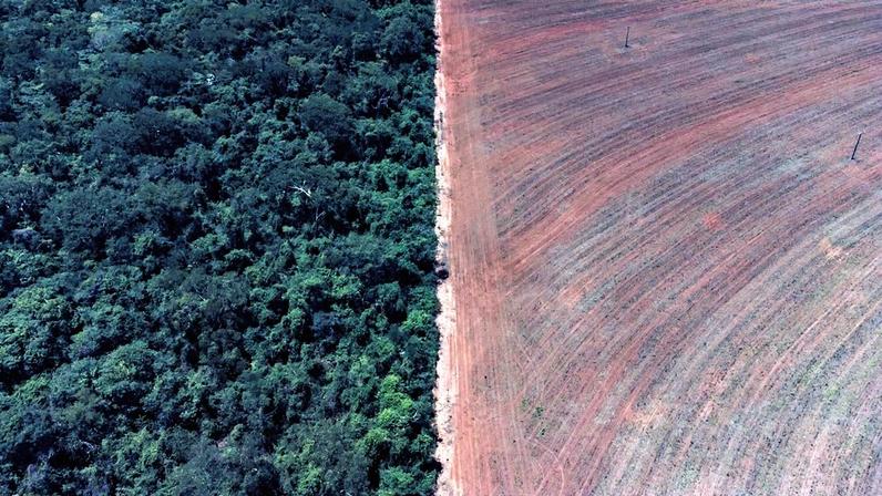 Brasil perdeu área natural equivalente à Bolívia em 40 anos, revela MapBiomas
