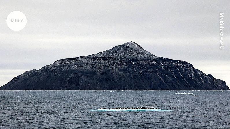 Proteja a Antártica para evitar o colapso climático global