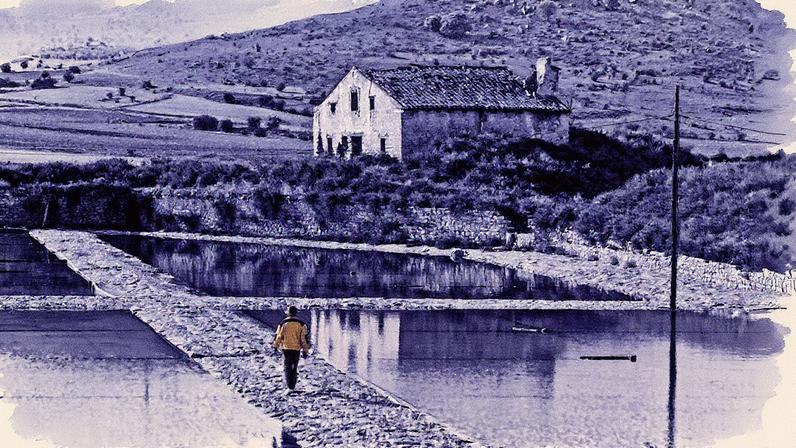 Rede de Pueblos Gastronômicos revela delícias de Riaza a Mora de Rubielos