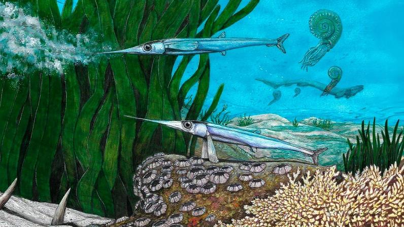 Pesquisadores brasileiros identificam nova espécie de peixe pré-histórico na Antártica