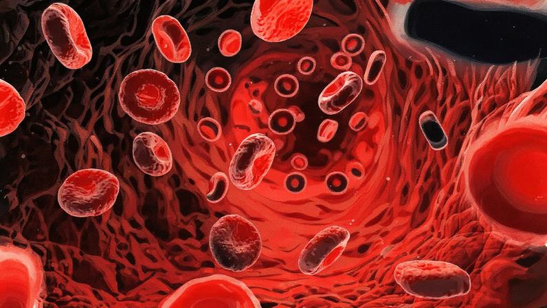 Cientistas descobrem como sangue jovem rejuvenesce células da pele humana