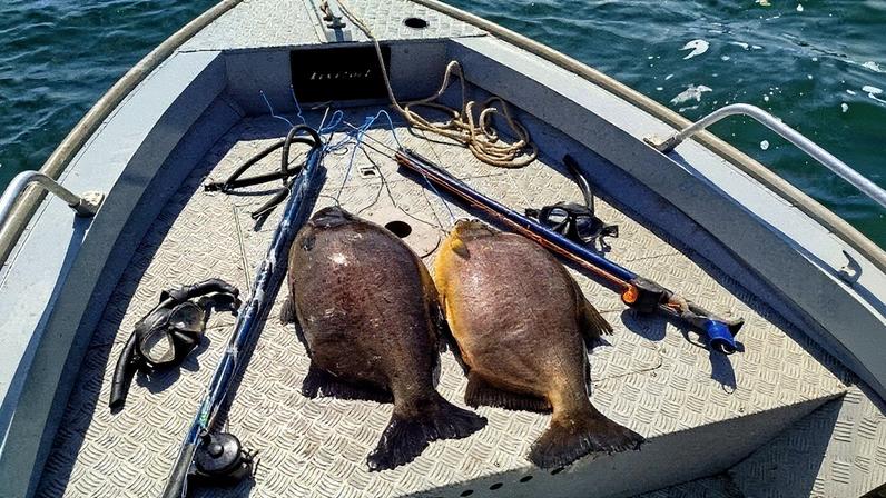 Homens multados em R$ 2,8 mil por pesca ilegal no Rio Paraná responderão por crime ambiental
