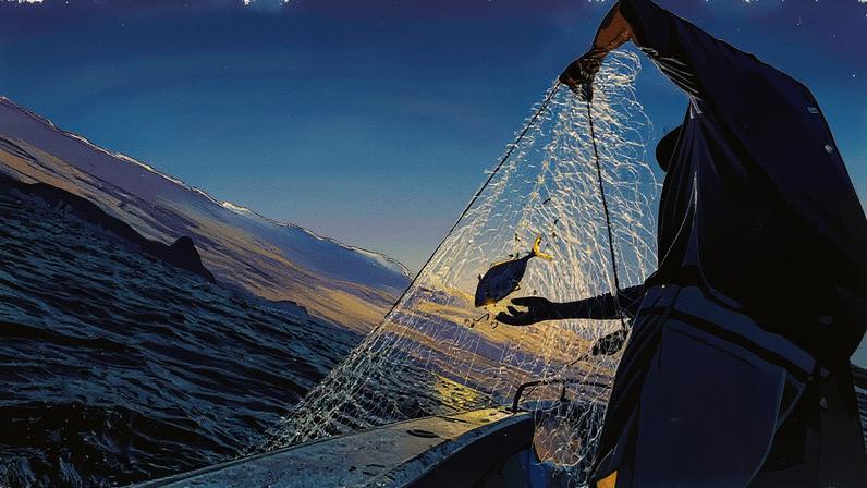 'Tarifas dos EUA tornam inviável exportação de pescados, afirma empresário'