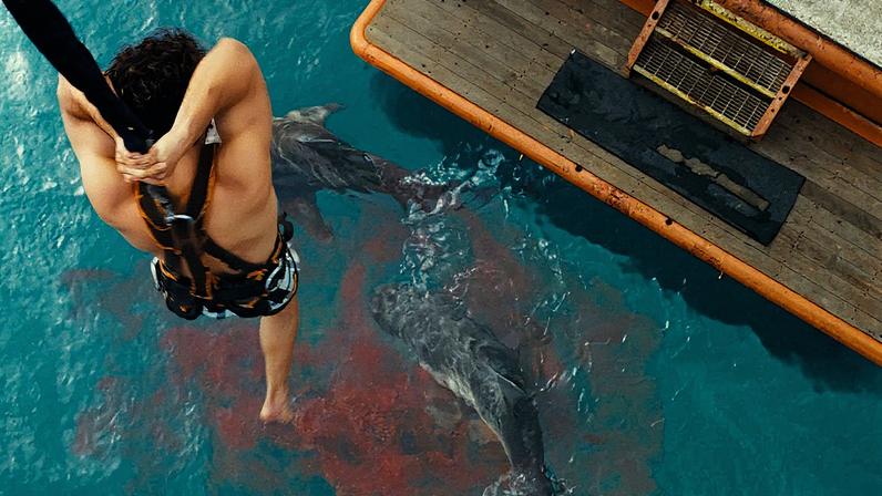 Tiburões e filmes de terror: a nova onda da exploração de tubarões