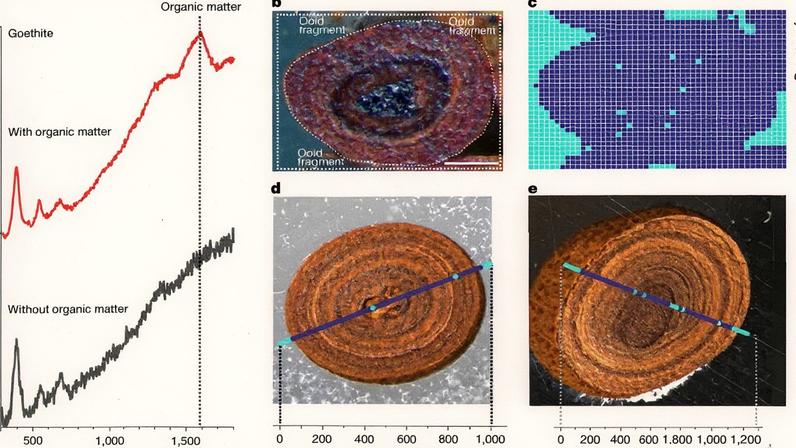 História geológica do carbono orgânico marinho revela impacto dos óxidos de ferro